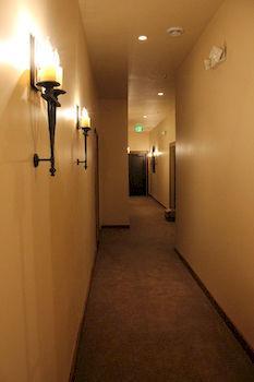 The Williston Boutique Hotel Bagian luar foto
